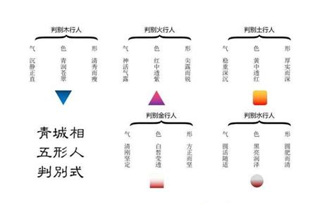 五行人 面相